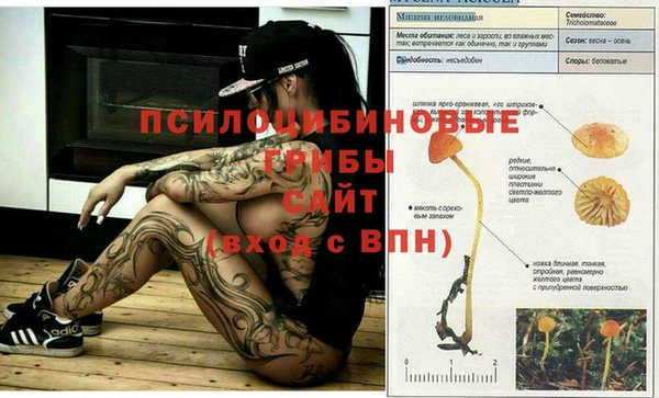 амф Алексин