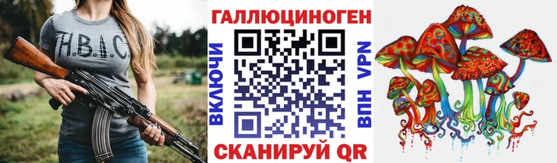 где продают наркотики  Ковдор  кракен как войти  Псилоцибиновые грибы MAGIC MUSHROOMS 